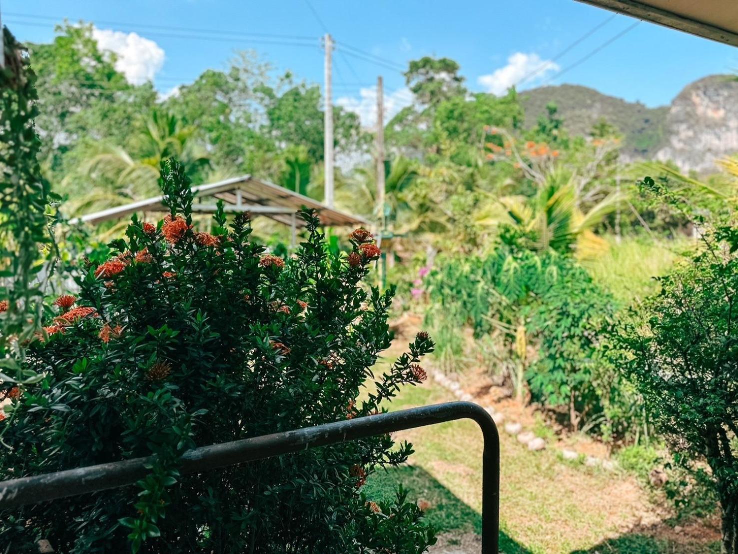 Ao Luek Homie Homestay Krabi Ngoại thất bức ảnh